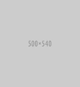 placeholder 500x540 1
